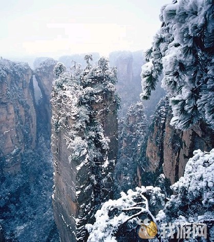 冬天的雪景.jpg