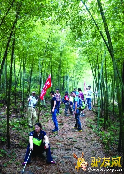 驴友网.jpg
