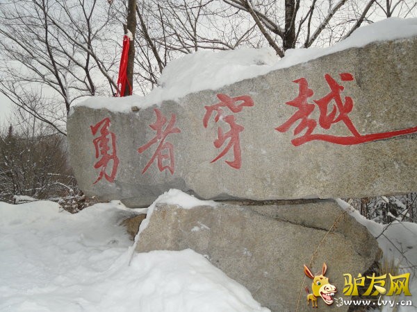 用着穿越.jpg